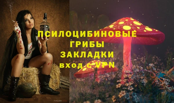 соль ск Волосово
