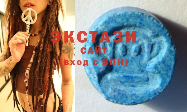 шишки Саяногорск